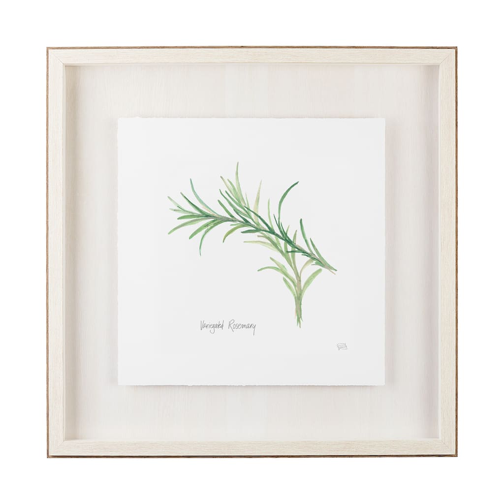 Variegated Rosemary v2 Framed Art Print