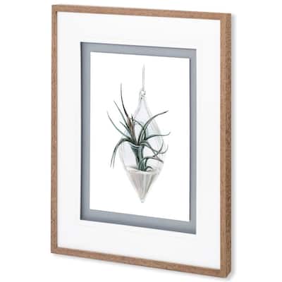 Air Plant 2 Framed Art Print