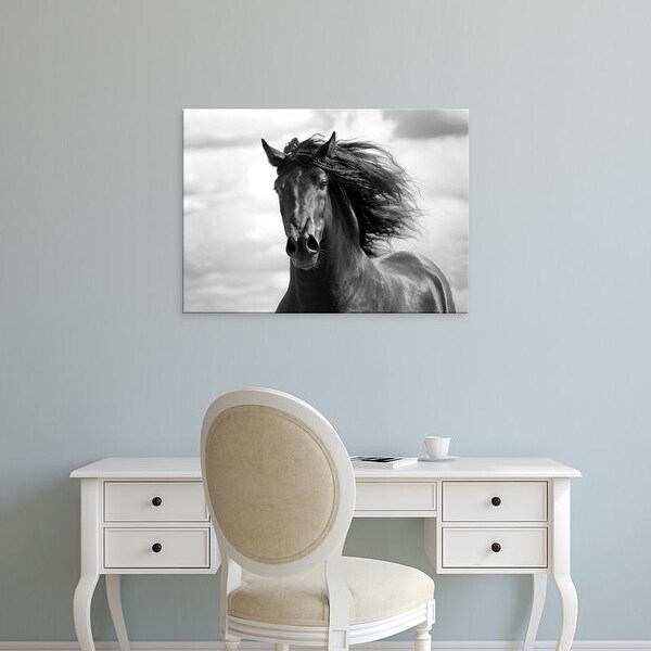 Easy Art Prints Tony Stromberg's 'Breath of Life' Premium Canvas Art
