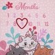 preview thumbnail 4 of 3, Disney Aristocats Pink Picture Purr-fect Super Soft Photo Op Milestone Baby Blanket