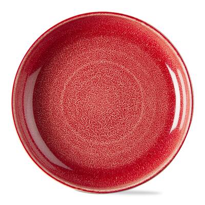 Reactive Glaze Red Ceramic Dinner Plate 10 in Dia 36oz Dishwasher Safe Everyday Dining Plates