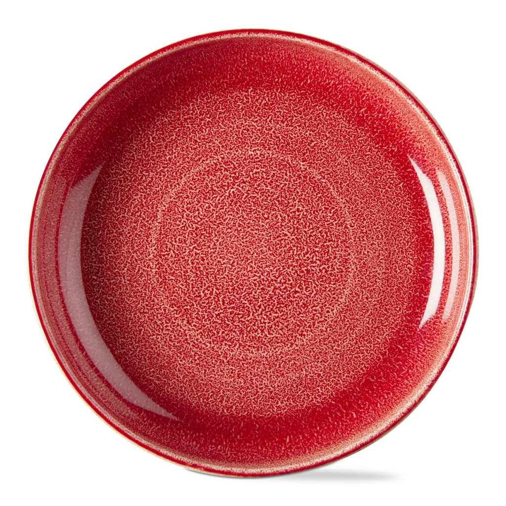 Reactive Glaze Red Ceramic Dinner Plate 10 in Dia 36oz Dishwasher Safe Everyday Dining Plates