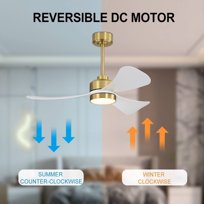 MLiAN 42 inch 3 ABS Blades Smart LED Ceiling Fan with Remote... - 42"