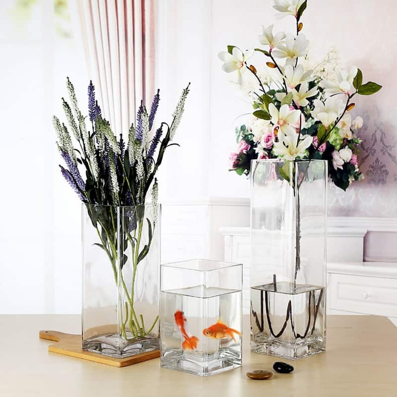 Enova Home Rectangle Shape Clear Glass Vase For Home Garden Decoration