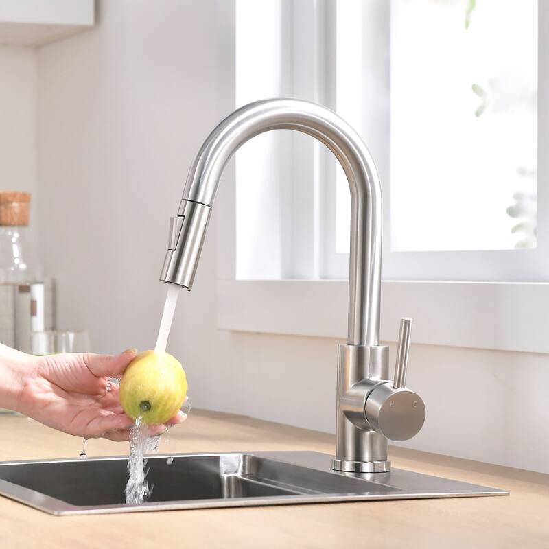 Single Handle Pull-Out Double-Function Kitchen Faucet - Brushed Nickel