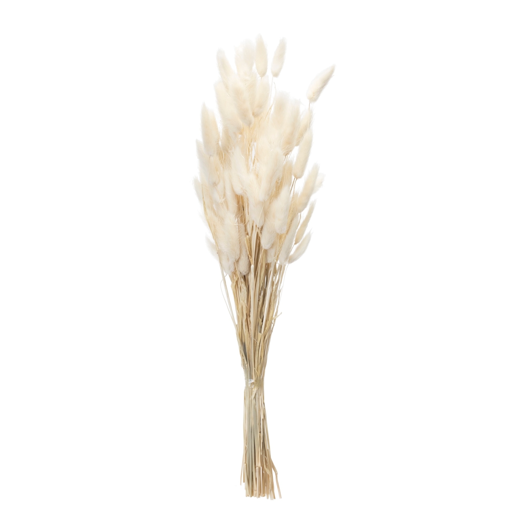 Bunny Tail Bundle (Set of 2)