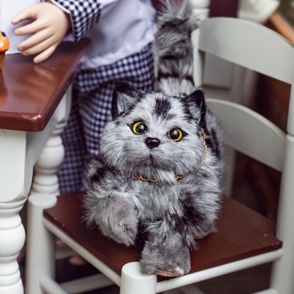 american girl gray cat pet set