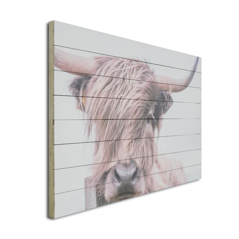 "Highland Cow" Photograph Print on Planked Wood Wall Art