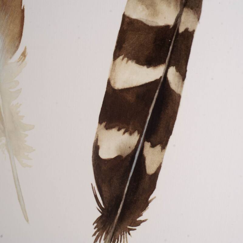 Red Rock Feathers I Framed Art Print