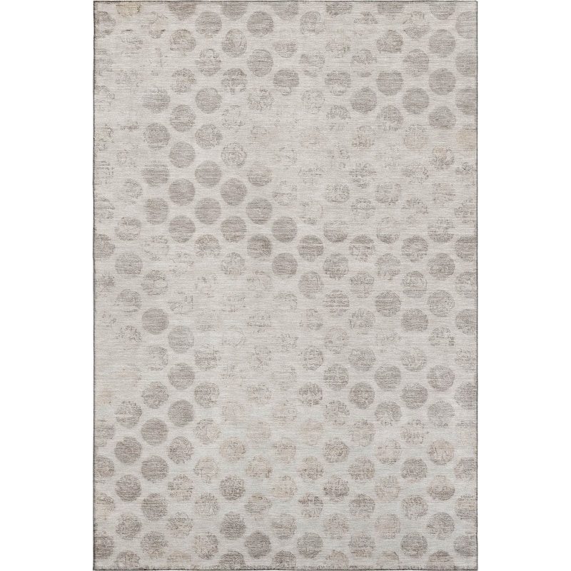 Premium Washable Super Soft Vintage Dotty Mayfield Rug