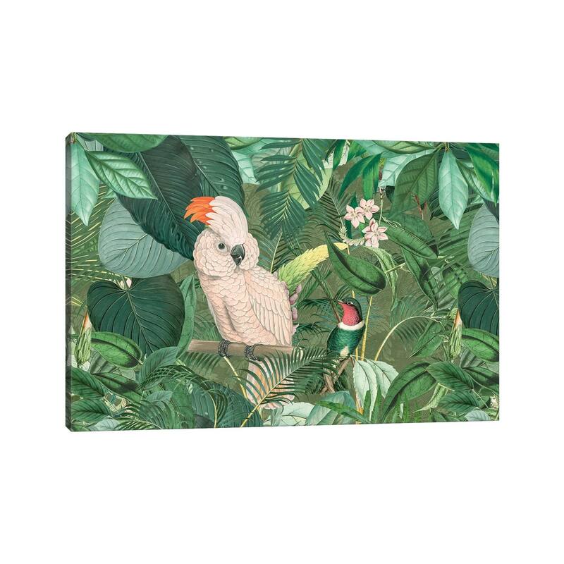 iCanvas "Jungle Friends" by Andrea Haase Canvas Print