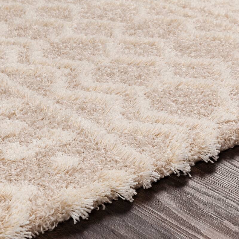 Livabliss Newton Geometric Moroccan Trellis Shag Area Rug