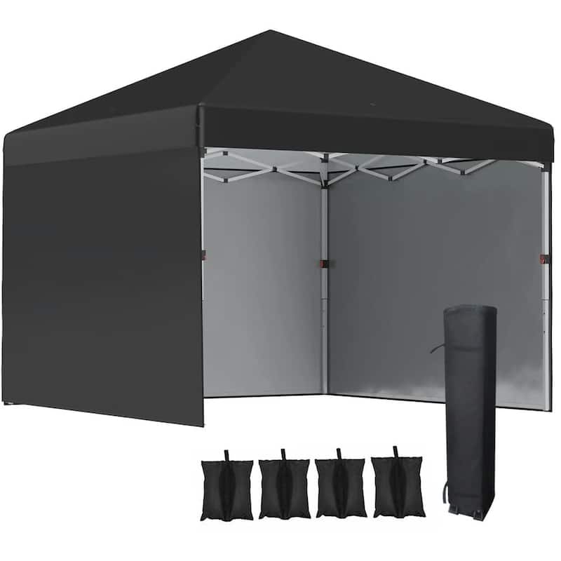 10'x10' Pop Up Canopy Tent with 3 Sidewalls,Leg Weight Bags,Carry Bag
