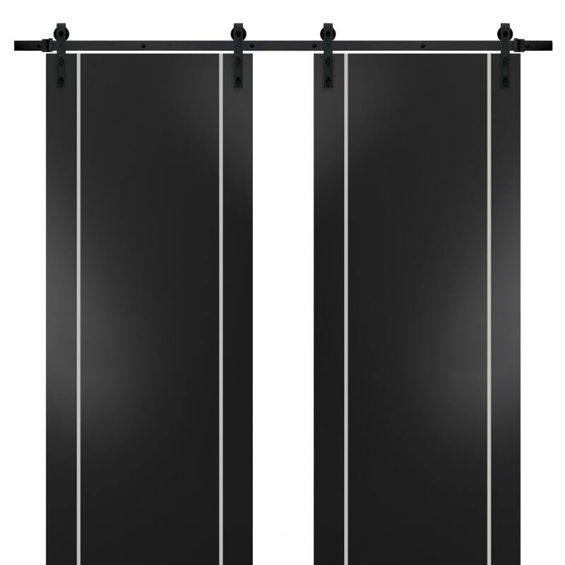Sturdy Double Barn Door 36 x 80 with Planum 0410 Matte Black with 13FT - Black - 48" x 84" ( 2* 24x84)