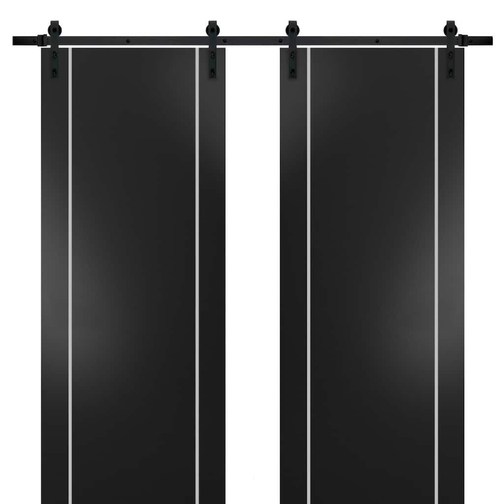 Sturdy Double Barn Door 36 x 80 with Planum 0410 Matte Black with 13FT