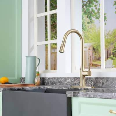 Single-Handle Pull-Out Sprayer Kitchen Faucet