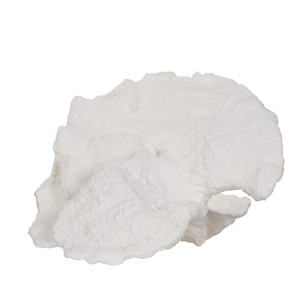 16.5" White Dynamic Faux Coral Decor - N/A