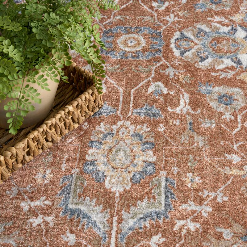 Nourison Astra Machine Washable Indoor only Persian Area Rug