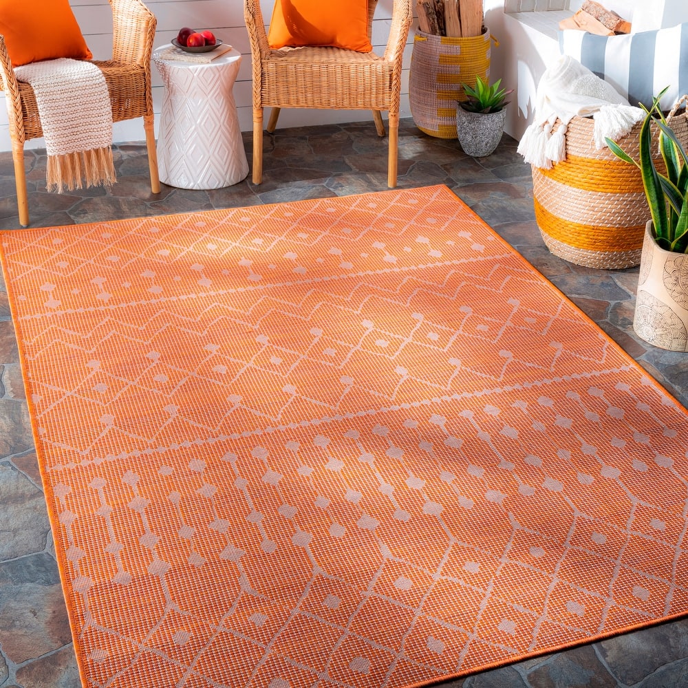 Artistic Weavers Deniz Moroccan Tribal Outdoor Area Rug