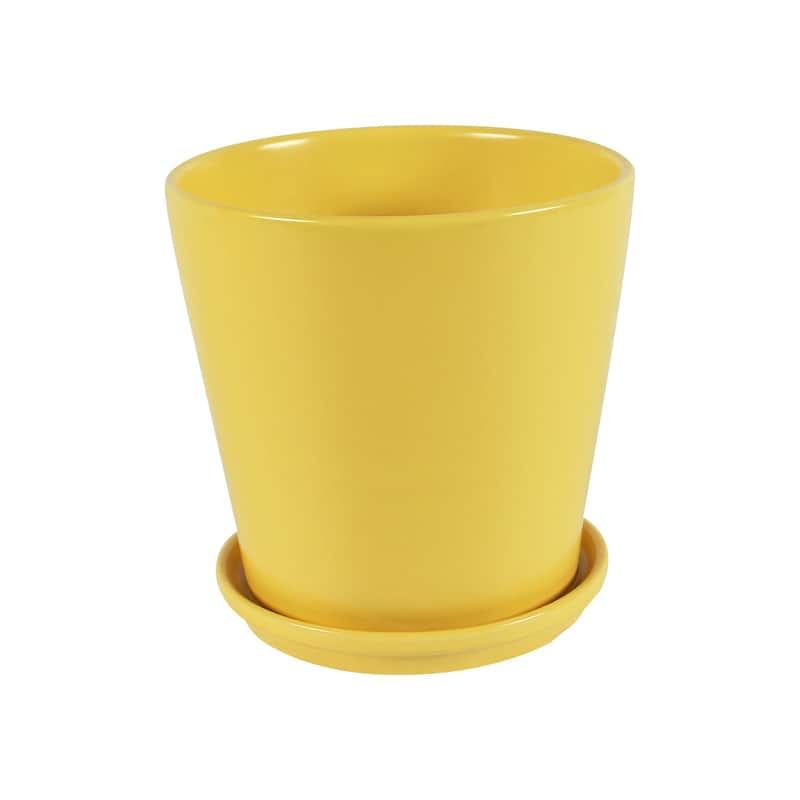 Pansy Ceramic Planter Set with Dish 2-pack