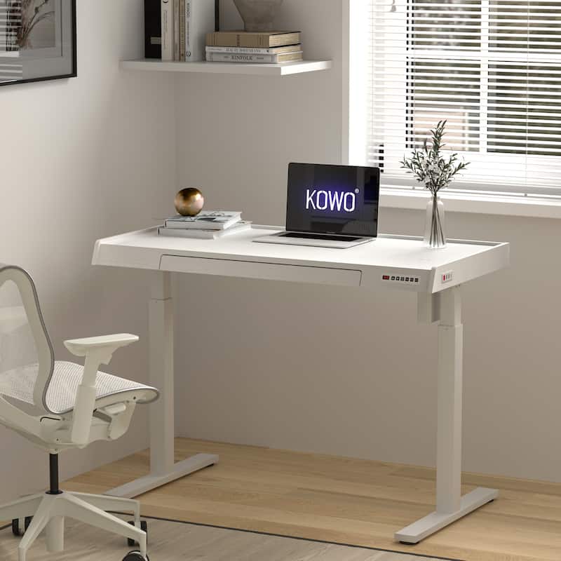 KOWO K3091 48 Inch Electric Height Adjustable Desk with Drawer Motorized Sit to Stand Workstation for Home Office