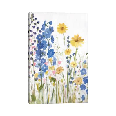 iCanvas "Periwinkle Wildflowers I" by Sandra Iafrate Canvas Print