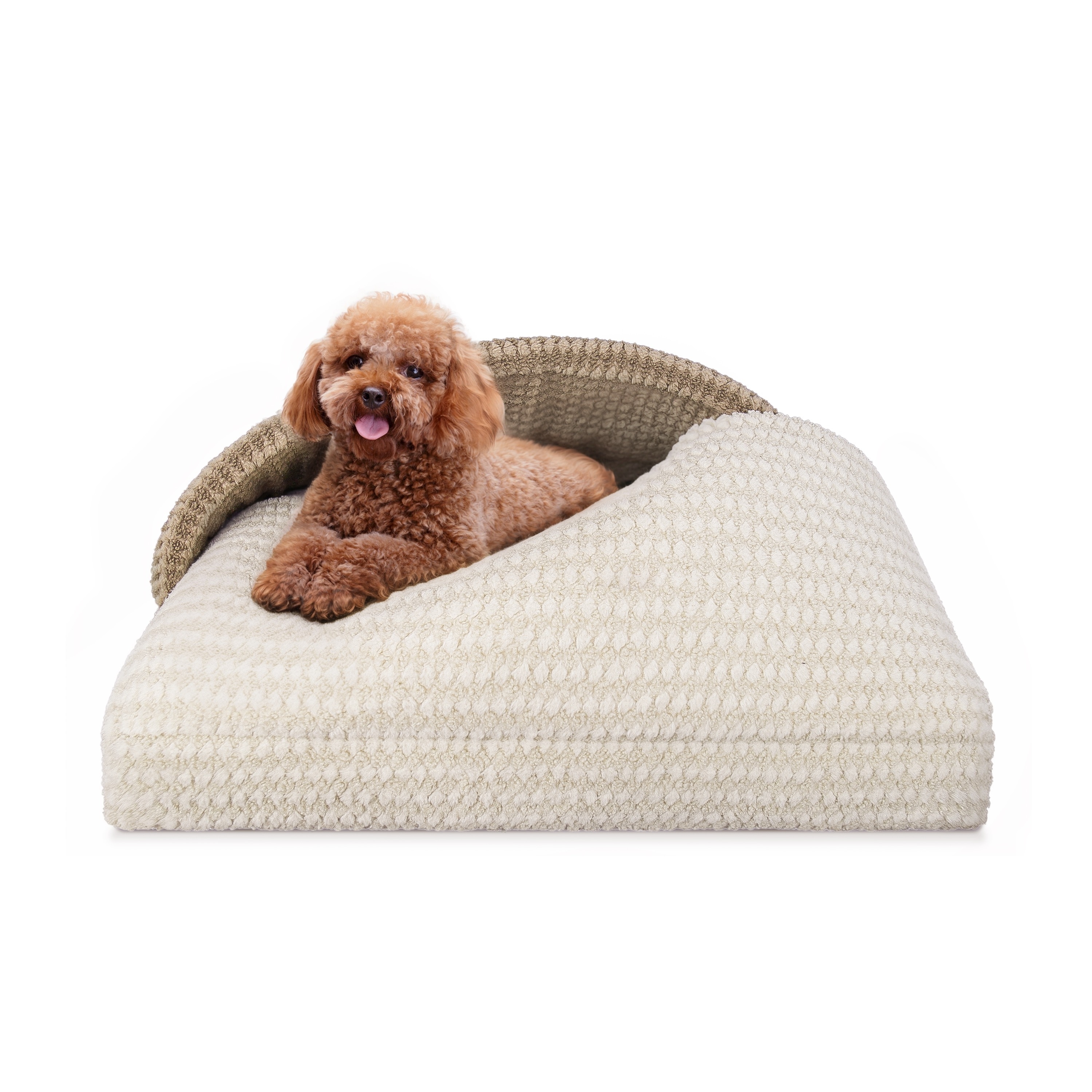 Dog beds bed bath beyond clearance