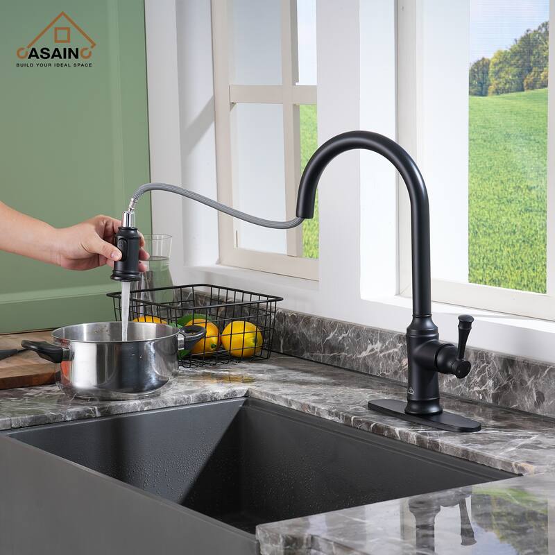 Single Handle Pull Out Sprayer Kitchen Faucet
