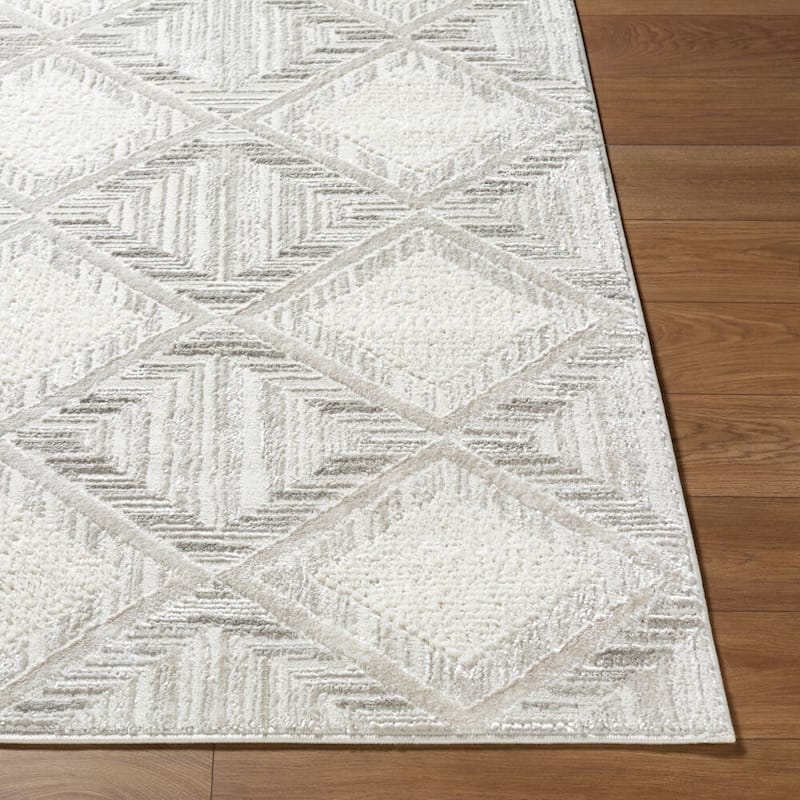 Livabliss Wolly Modern Area Rug