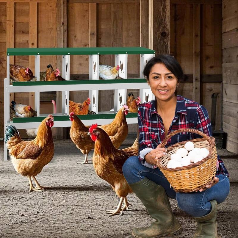 Chicken Nesting Box Nesting Boxes - Green 10-Hole  (with legs)