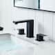 Option Black