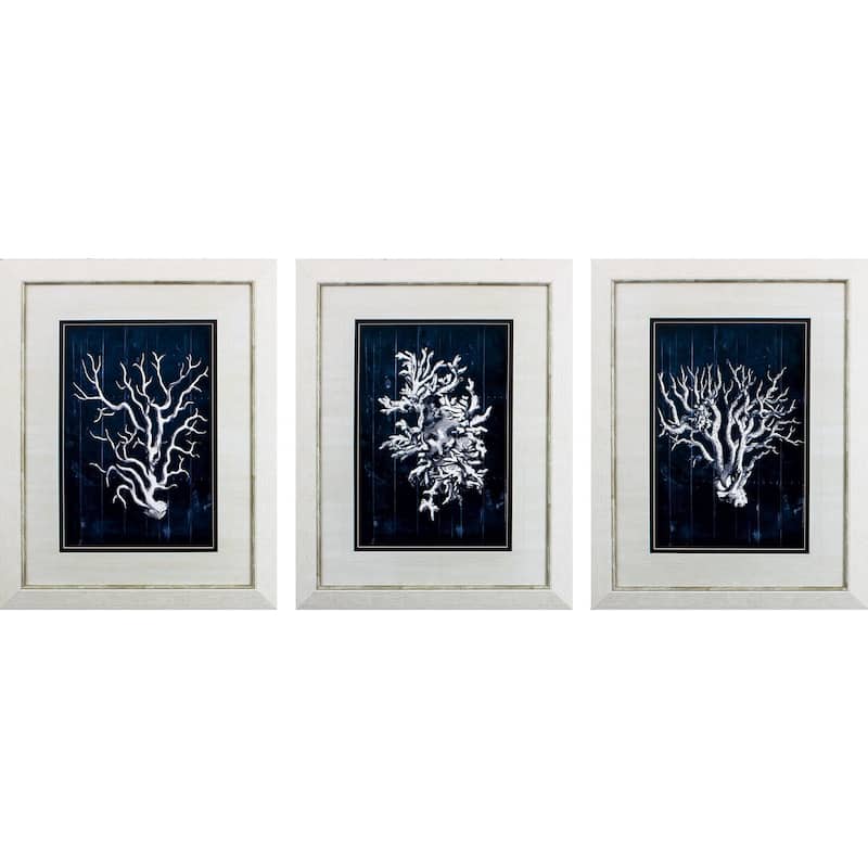 Wood Coral Blue S/3 Framed Art Under glass - 28 X 22 X 1