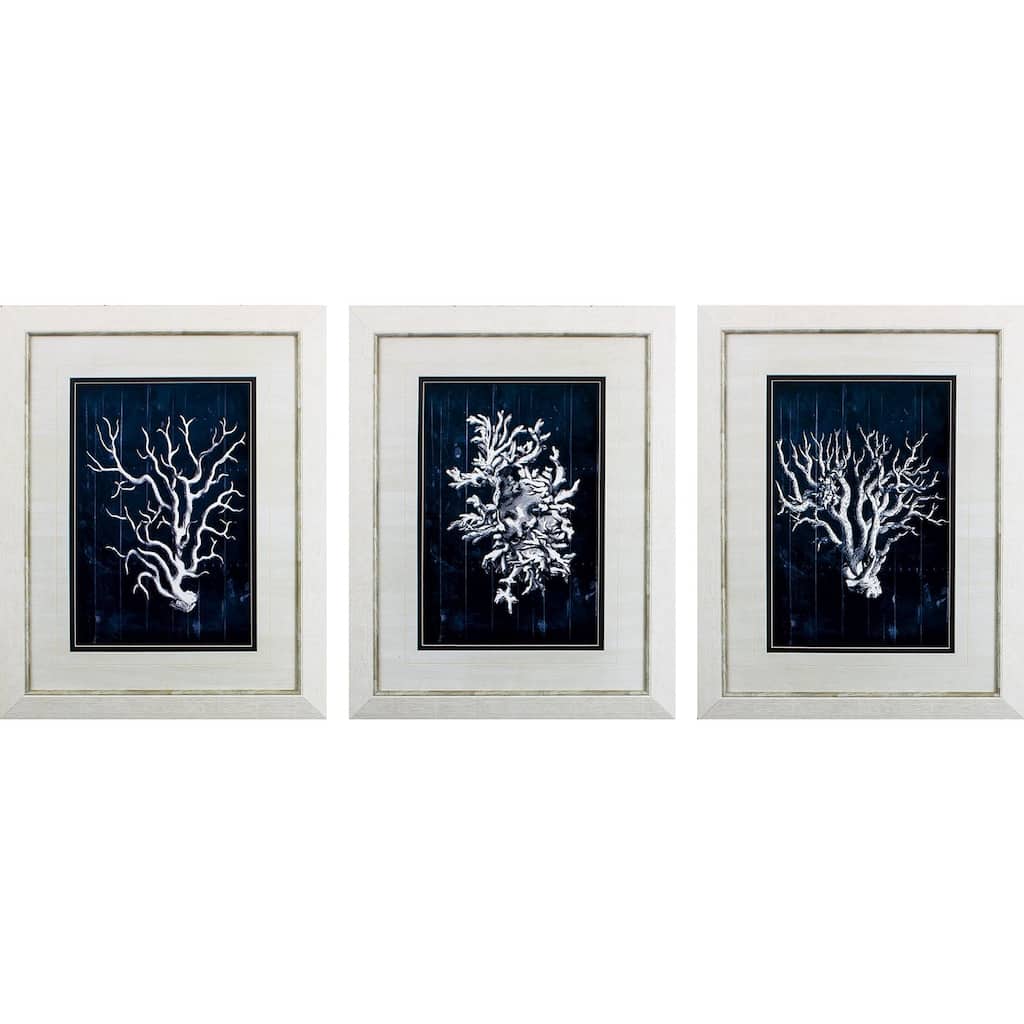 Wood Coral Blue S/3 Framed Art Under glass