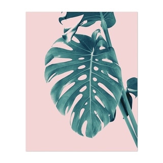 Monstera Delight 3 Photography Botany Family Flower Art Print/Poster ...