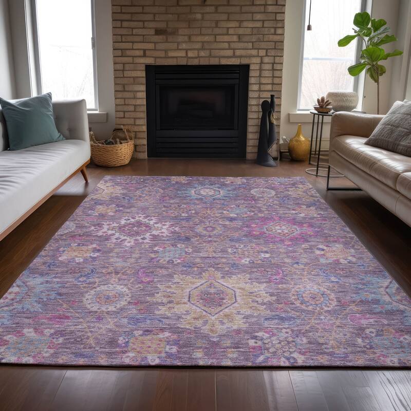Machine Washable Indoor/Outdoor Boho Traditional Chantille Rug