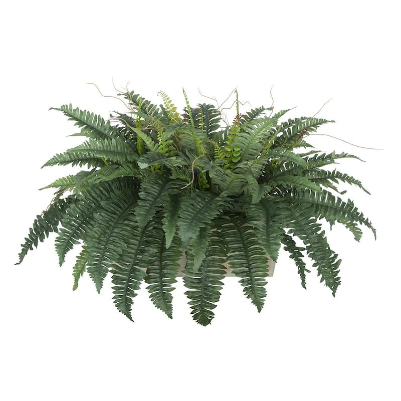 Faux Fern in Washed Wood Ledge Planter - White