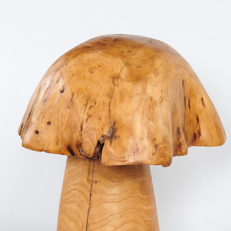 Greenage Cedar Roots Stump Mushroomn Natural Edge Side Table