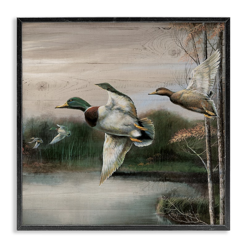 Stupell Flying Ducks in Rustic Nature Framed Giclee Art Design By Ruane Manning - 12 x 12 - Black