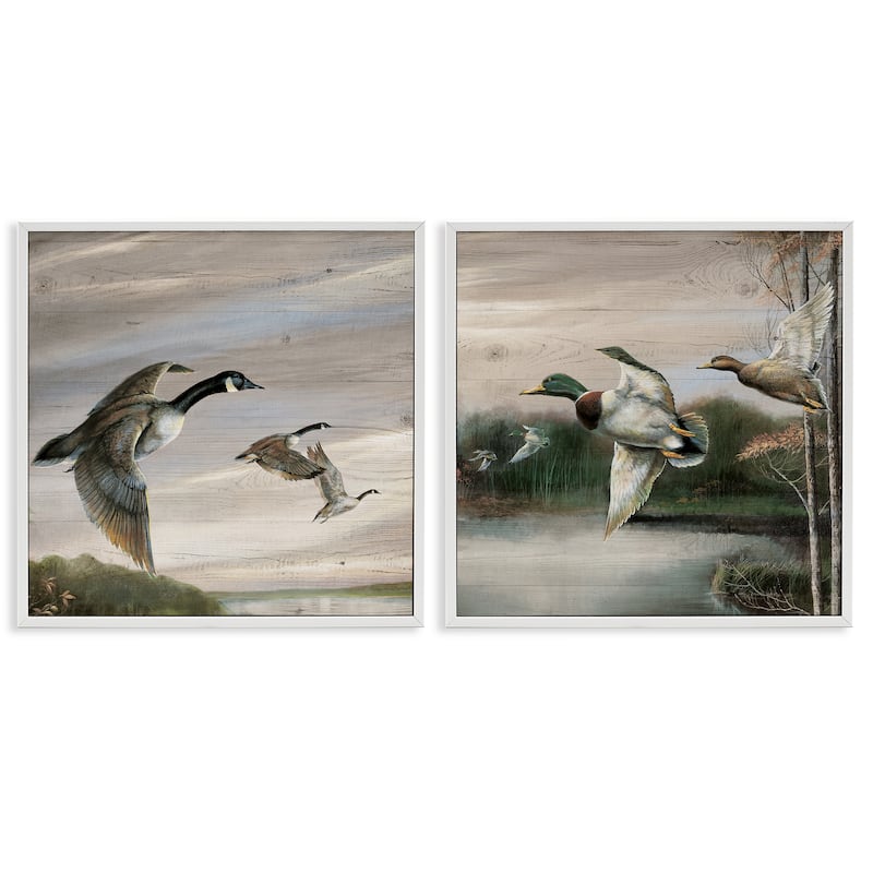 Stupell Geese & Ducks in Nature Framed Giclee Art Design By Ruane Manning (Set of 2) - 12 x 12 - White