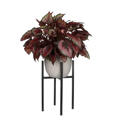 Ascot Plant Stand Black 8"Dia - A - Black