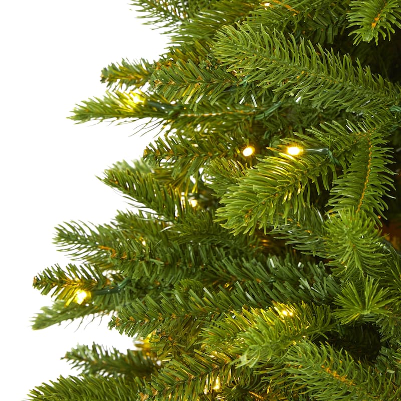 6’ Pre-Lit Sierra Spruce Artificial Christmas Tree, Clear LED Lights - 6 Foot