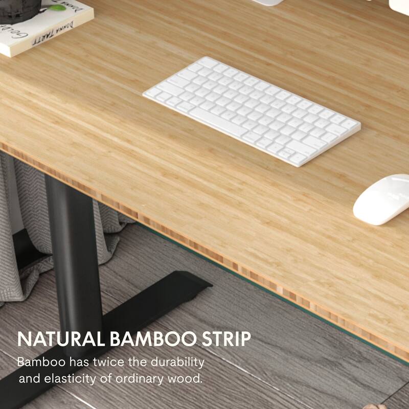 FLEXISPOT Home Office Height Adjustable Standing Desk 3-Stage Dual Motor Bamboo Rectangle Desktop