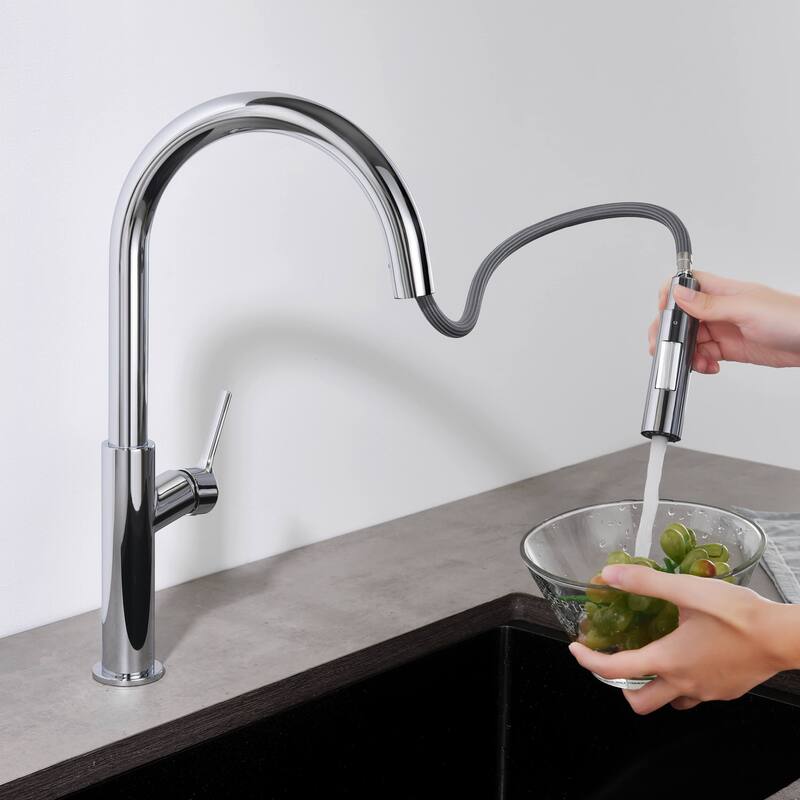 Fusion-T Single Handle Pull Down Kitchen Sink Faucet