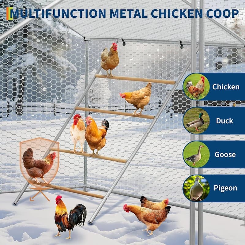 Chickens Roosting Bars for Coop