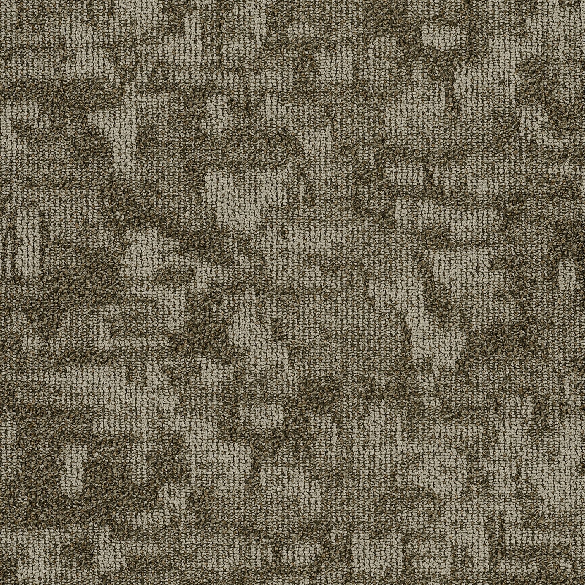 Shaw Philadelphia Commercial Arid 18" x 36" Glue Down Carpet Tile -