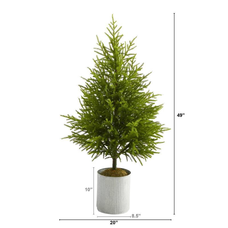 49" Norfolk Island Pine "Natural Look" Tree - Green