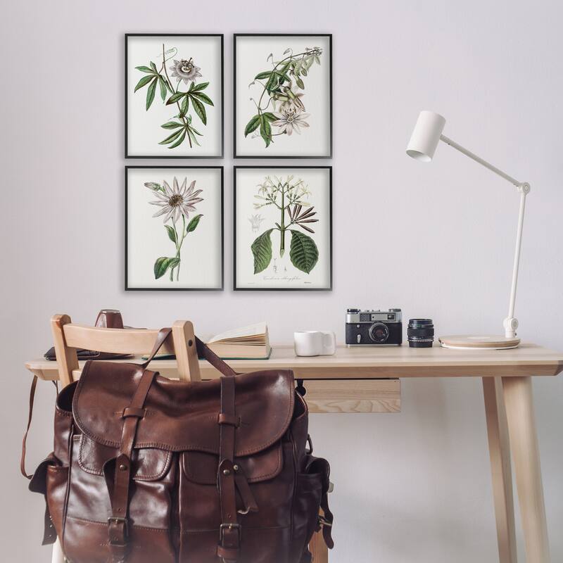 Stupell Various Vintage Botanicals Framed Giclee Art Design By CAD Design (Set of 4)