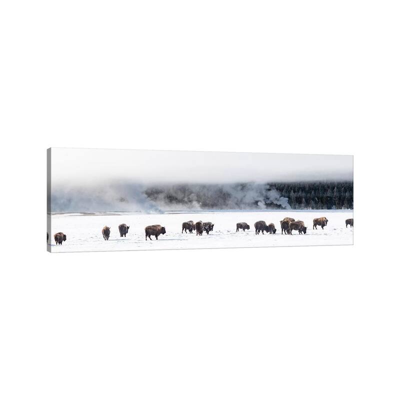 iCanvas "View of Bison herd Fountain Flats, Yellowstone National Park, Wyoming, USA" by Panoramic Images Canvas Print