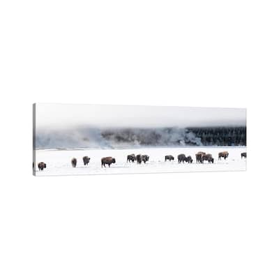 iCanvas "View of Bison herd Fountain Flats, Yellowstone National Park, Wyoming, USA" by Panoramic Images Canvas Print