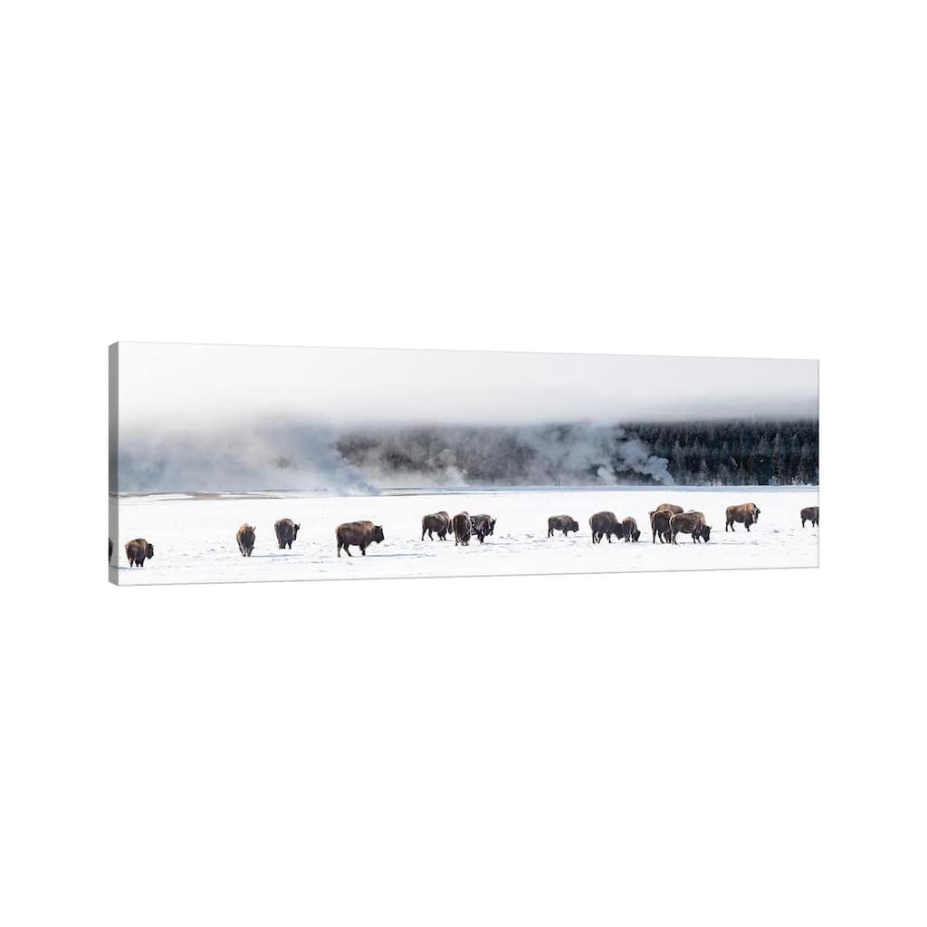 iCanvas "View of Bison herd Fountain Flats, Yellowstone National Park, Wyoming, USA" by Panoramic Images Canvas Print